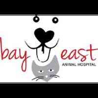 Bay East Animal Hospital: Cheryl Skaletski DVM
