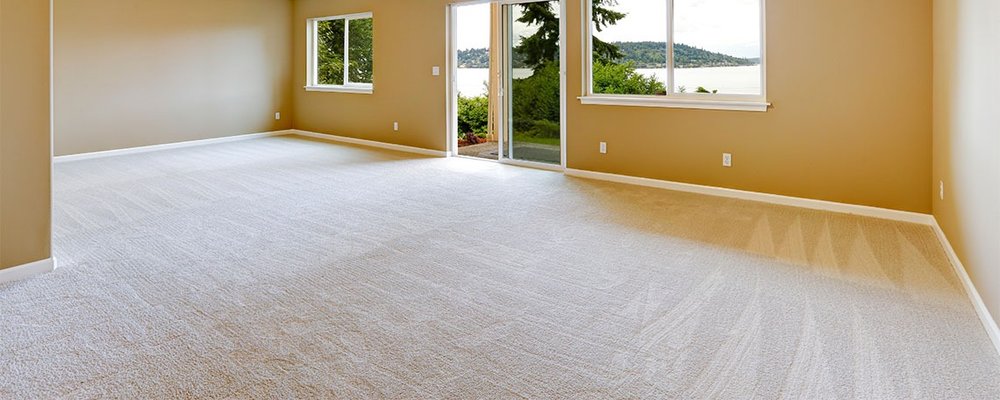 ProMax Carpet Clean 6730 Hill Ridge Dr, Greendale Wisconsin 53129