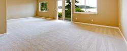 ProMax Carpet Clean