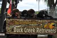 Duck Creek Retrievers, L.L.C.
