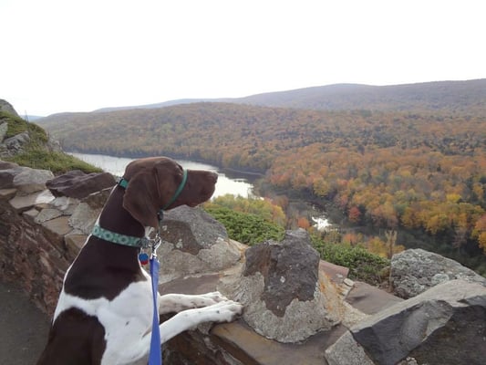 Photo credit: 