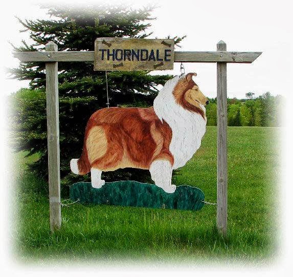 Thorndale Bone & Biscuit Pet Camp Resort 140243 Co Rd Ff, Merrill Wisconsin 54452