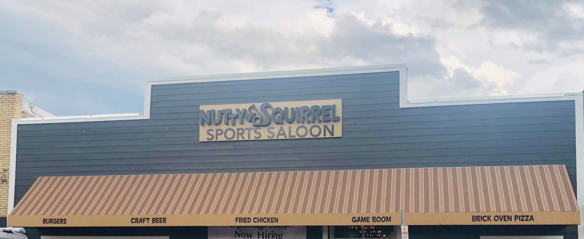 Nutty Squirrel Sports Saloon