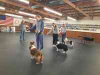 Sheboygan Dog Training Club