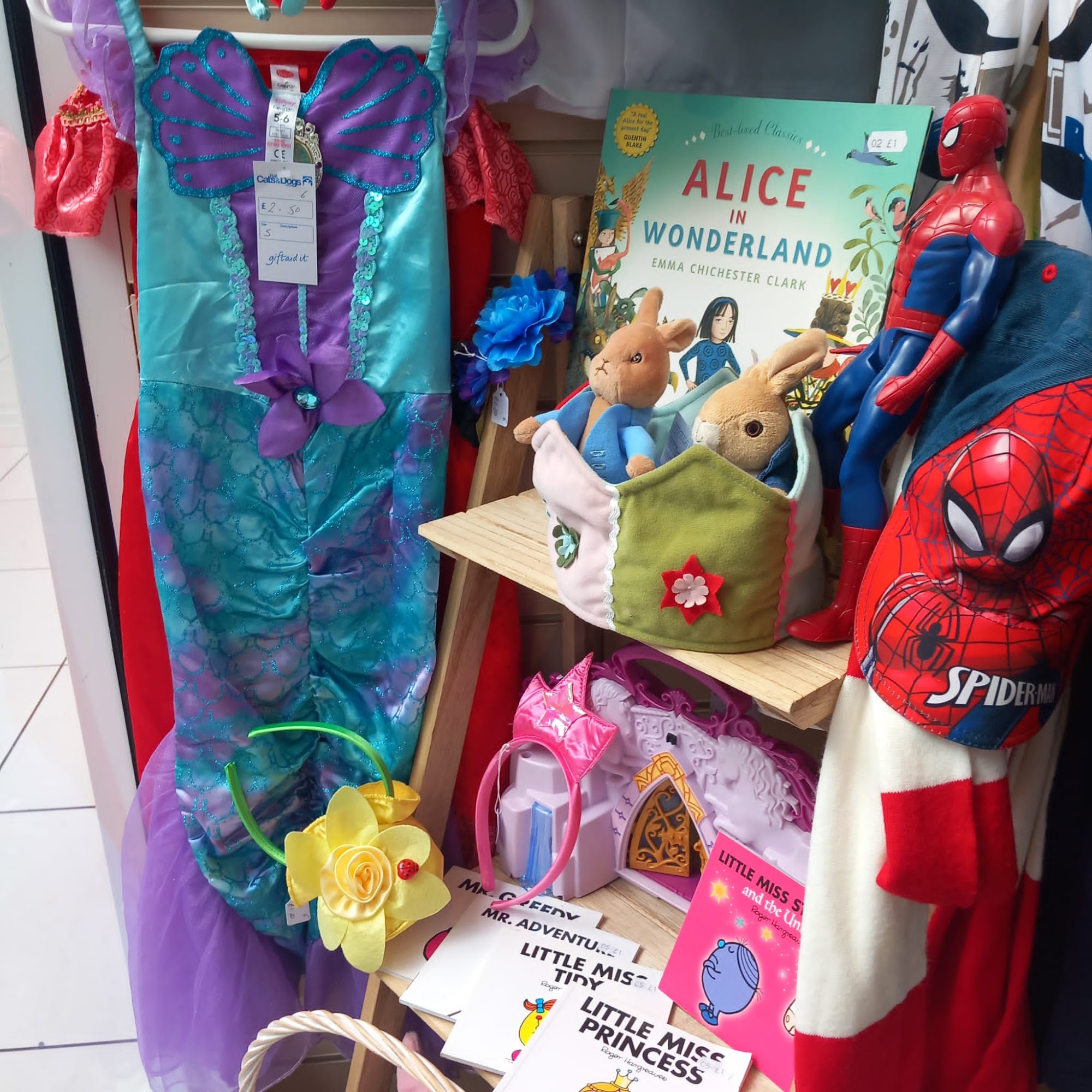 Bath Cats & Dogs Home Charity Shop