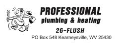 Professional Plumbing & Heating