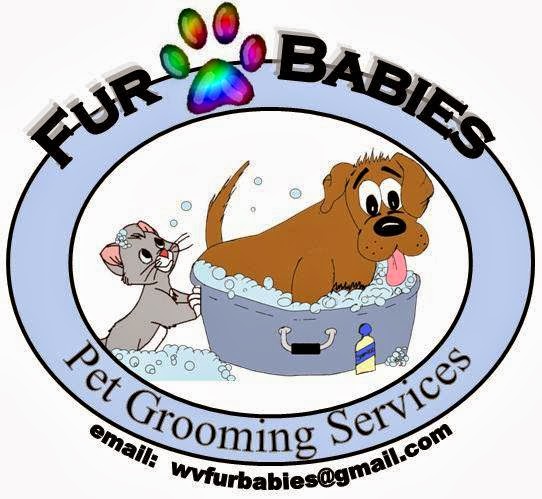 Fur Babies, LLC 585 Dunkard Ave, Westover West Virginia 26501
